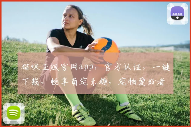 猫咪正版官网app，官方认证，一键下载，畅享萌宠乐趣，宠物爱好者必备
