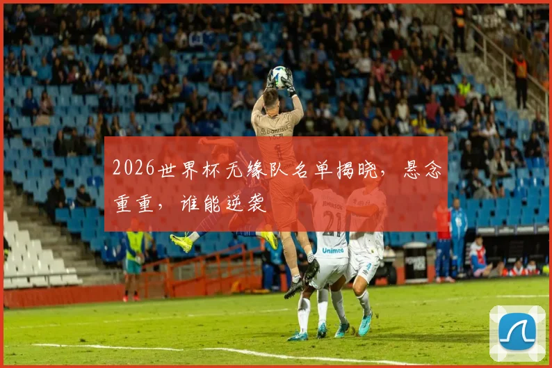 2026世界杯无缘队名单揭晓，悬念重重，谁能逆袭