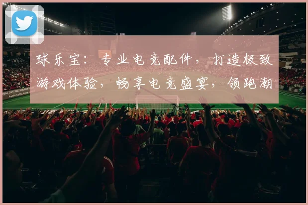 球乐宝：专业电竞配件，打造极致游戏体验，畅享电竞盛宴，领跑潮流前沿，两件特惠中